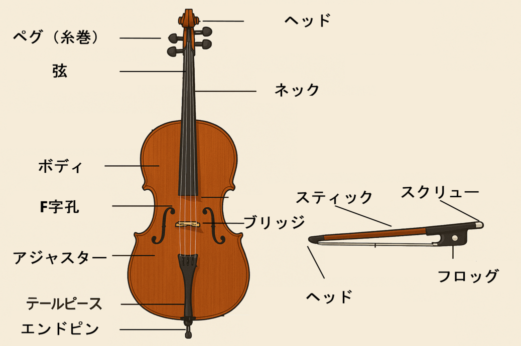 【画像付き】チェロの各部位の名称について解説 | チェロ上達の道標